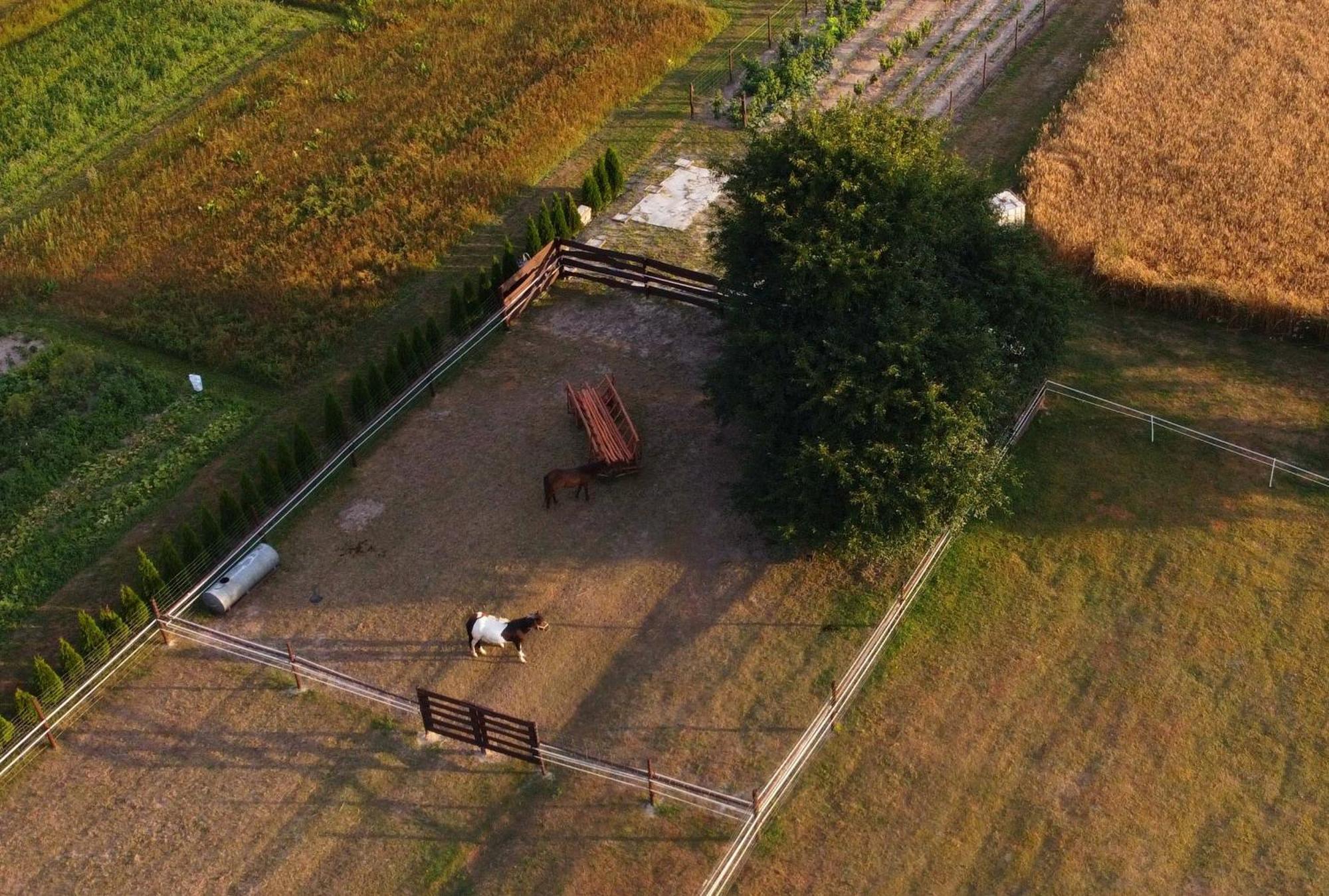 Agroturystyka Kraina Jezior Ludwin 외부 사진
